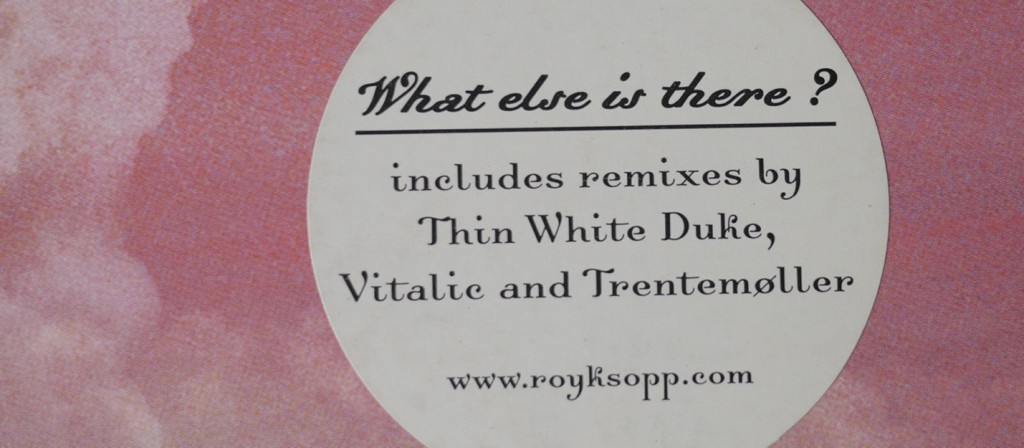 what else is there - thin white duke